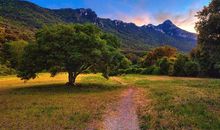 遇见是最美的风景