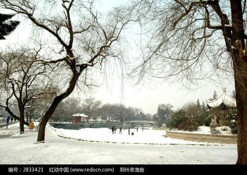 在公园里下雪