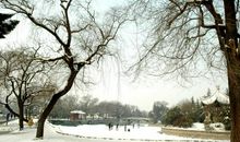 公园的雪景