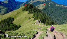 行走在温馨仁爱里