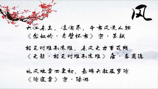 飞花订购系列