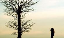 顺着阳光再次出发