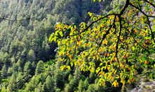 童话世界——九寨沟