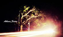 追随你的脚步前行