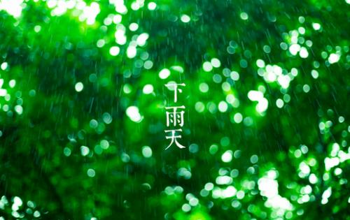 那个温暖的雨天