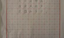 芳华观后感1000字