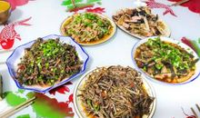 寻梦开始的地方