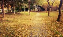 拾一片光阴与你轻诉