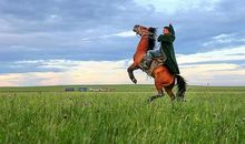 呼伦贝尔草原一日行