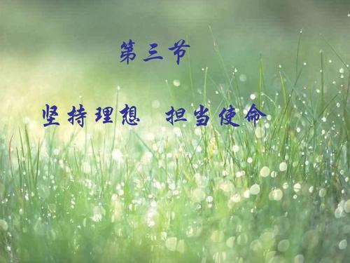 坚持理想，走向光明