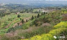 越过你心中的墙