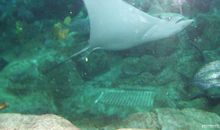 神奇的海底国度