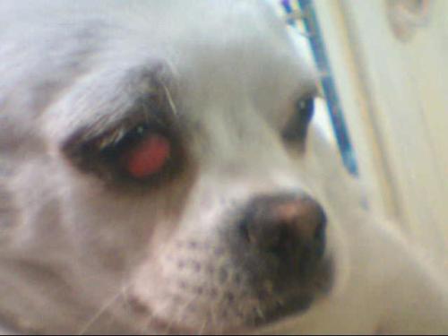 只是因为那个样子