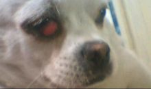 只是因为那个眼神