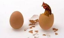 一个鸡蛋引发的思考