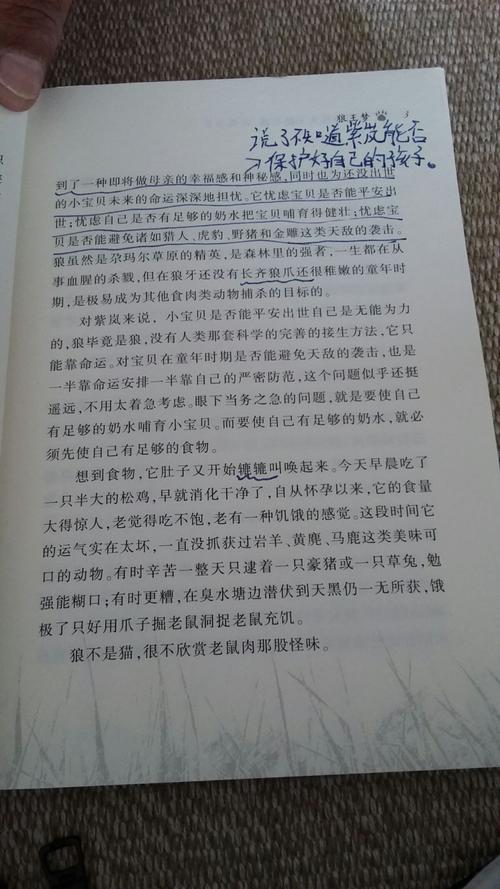 平凡-关于阅读《狼王的梦》的思考