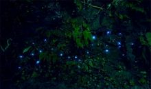 美丽的子长夏夜