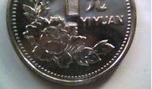 一元硬币的故事