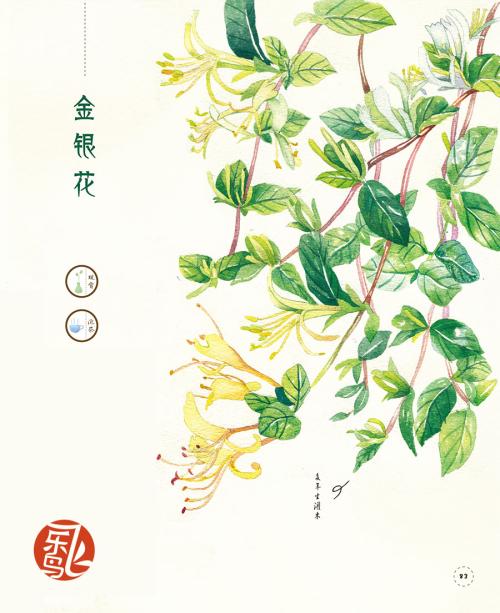 快乐成长