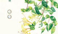 与幸福一同成长