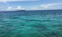 纯净，那片美丽的地方