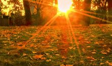 描写黄昏的作文