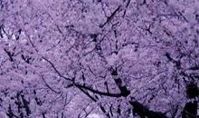 偶尔停下来，真好