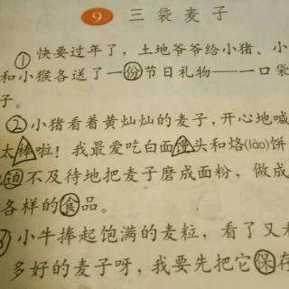 三袋小麦继续