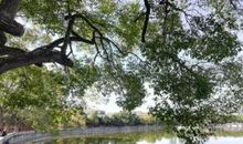 我努力跨过学海大山