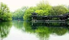 西湖的春