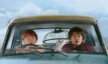 给哈利·波特的一封信