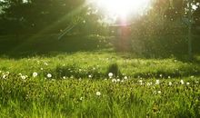 给自己一片阳光