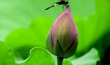 五彩缤纷的夏天