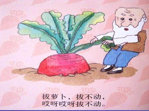 收获胡萝卜”