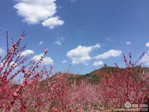 真正的温暖