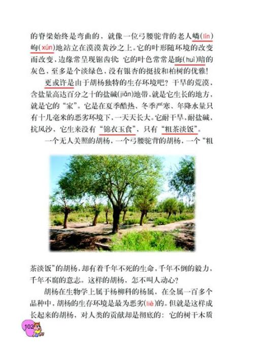 看完胡杨赞美