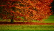 那片温暖的风景