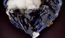 石头开花了_1500字