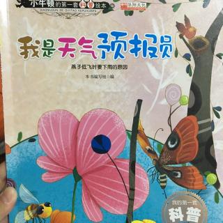 招聘天气预报员
