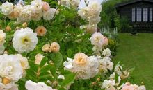 晒出我的生活闲调