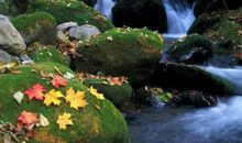 我家门口的小溪