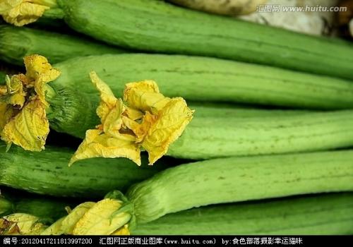 小丝瓜络