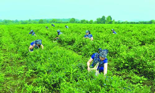 喜欢看我的变化