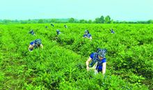 喜看自己的变化