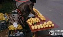 马路边的新鲜事