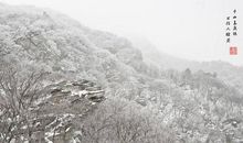 今年的第一场雪