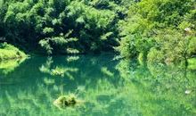 幽幽绿意，潺潺水声