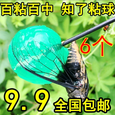 知道冒险