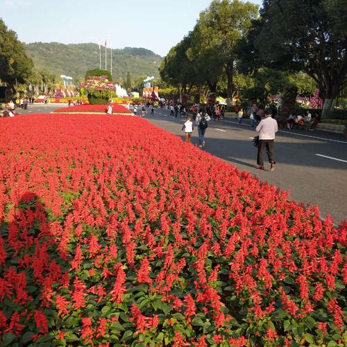 参观儿童博览会