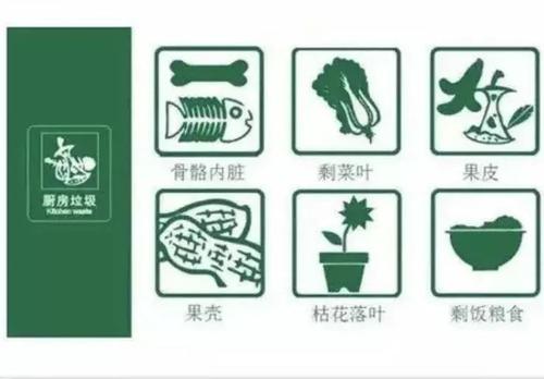 我是垃圾分类的小使者